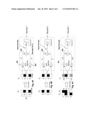 Method and System for Coding Information Subject to Motion Blur diagram and image