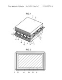 PLASMA DISPLAY PANEL diagram and image