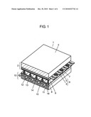 PLASMA DISPLAY PANEL diagram and image