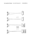 ZOOM LENS SYSTEM diagram and image