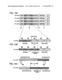 MULTILAYERED OPTICAL DISC AND ITS RECORDING METHOD diagram and image