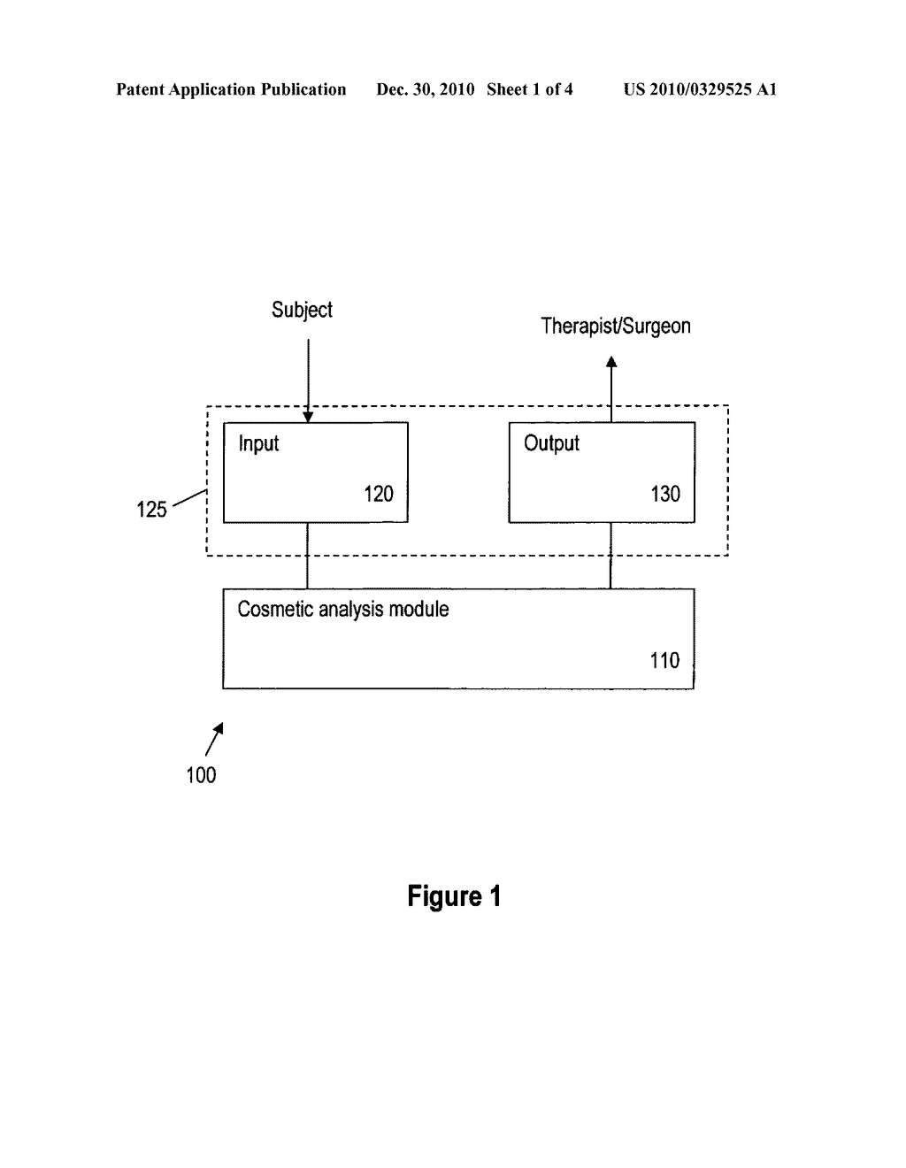 SYSTEM AND METHOD OF COSMETIC ANALYSIS AND TREATMENT DIAGNOSIS - diagram, schematic, and image 02