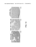 METHOD OF FIXING AND EXPRESSING PHYSIOLOGICALLY ACTIVE SUBSTANCE diagram and image