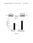 COMBINATION THERAPY FOR CHRONIC DERMAL ULCERS diagram and image