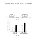 COMBINATION THERAPY FOR CHRONIC DERMAL ULCERS diagram and image