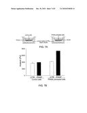 COMBINATION THERAPY FOR CHRONIC DERMAL ULCERS diagram and image