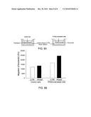 COMBINATION THERAPY FOR CHRONIC DERMAL ULCERS diagram and image