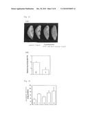 DISEASE RESISTANCE ENHANCER FOR PLANTS AND METHOD OF CONTROLLING PLANT DISEASE BY USING THE SAME diagram and image