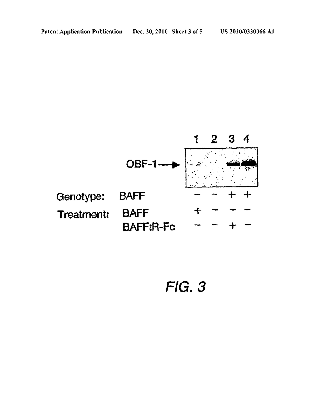 Methods for Use with Baff Antagonists - diagram, schematic, and image 04