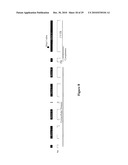 METHODS OF USING BTL-II PROTEINS diagram and image