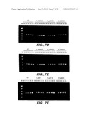 METHODS AND COMPOSITONS FOR ANTISENSE VEGF OLIGONUCLEOTIDES diagram and image