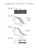 PHENAZINE DERIVATIVES AND USES THEREOF diagram and image