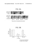 PHENAZINE DERIVATIVES AND USES THEREOF diagram and image