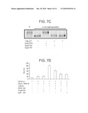 PHENAZINE DERIVATIVES AND USES THEREOF diagram and image