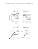 PHENAZINE DERIVATIVES AND USES THEREOF diagram and image