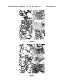 FOAMED CANDY diagram and image