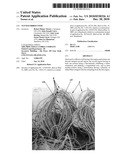 TUFTED FIBROUS WEB diagram and image