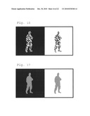 CAMOUFLAGE PATTERN SCHEME FOR CAMOUFLAGE PATTERNS ON OBJECTS diagram and image