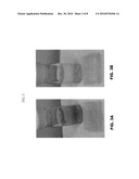 SILICA-BASED PARTICLE COMPOSITION diagram and image