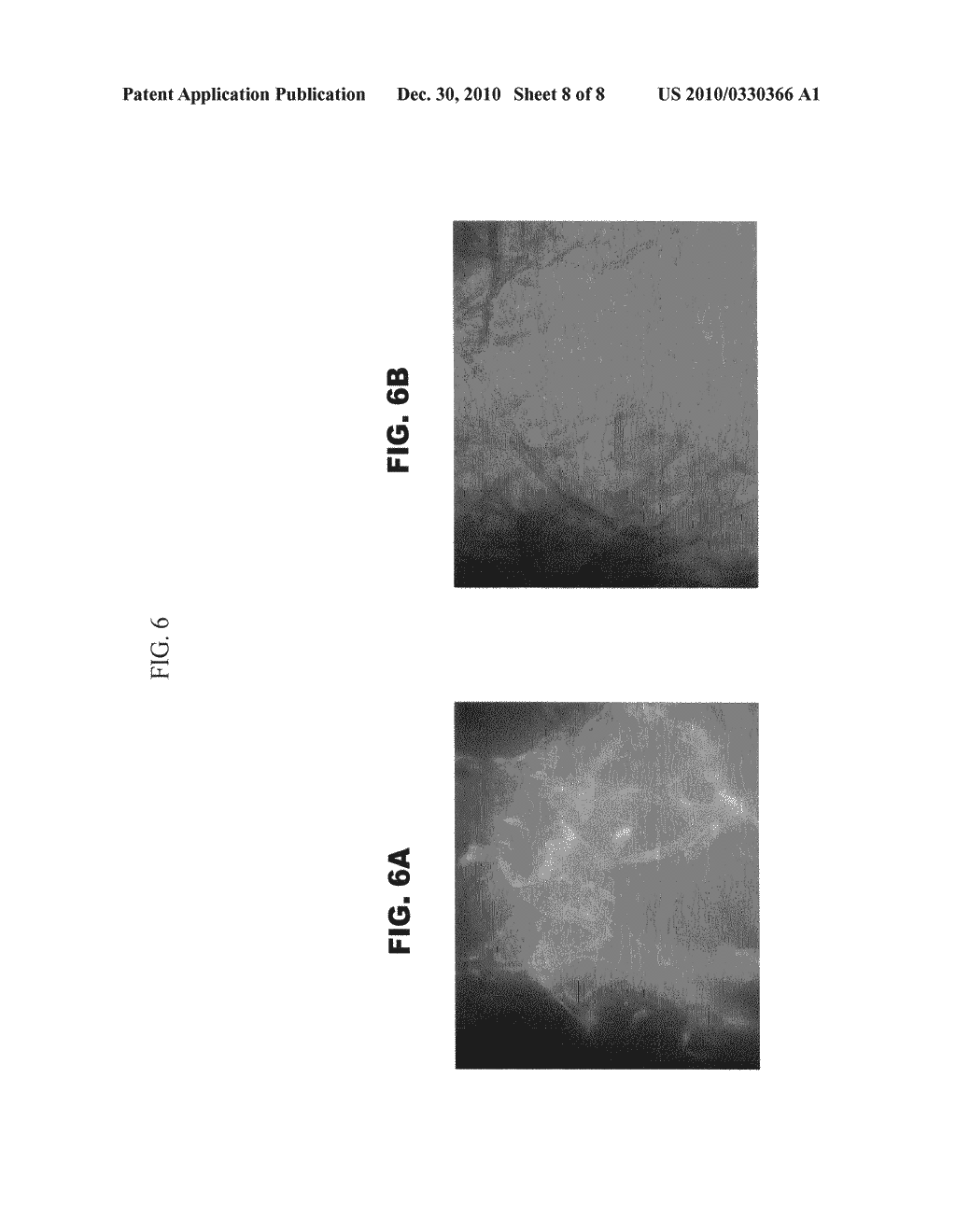 SILICA-BASED PARTICLE COMPOSITION - diagram, schematic, and image 09