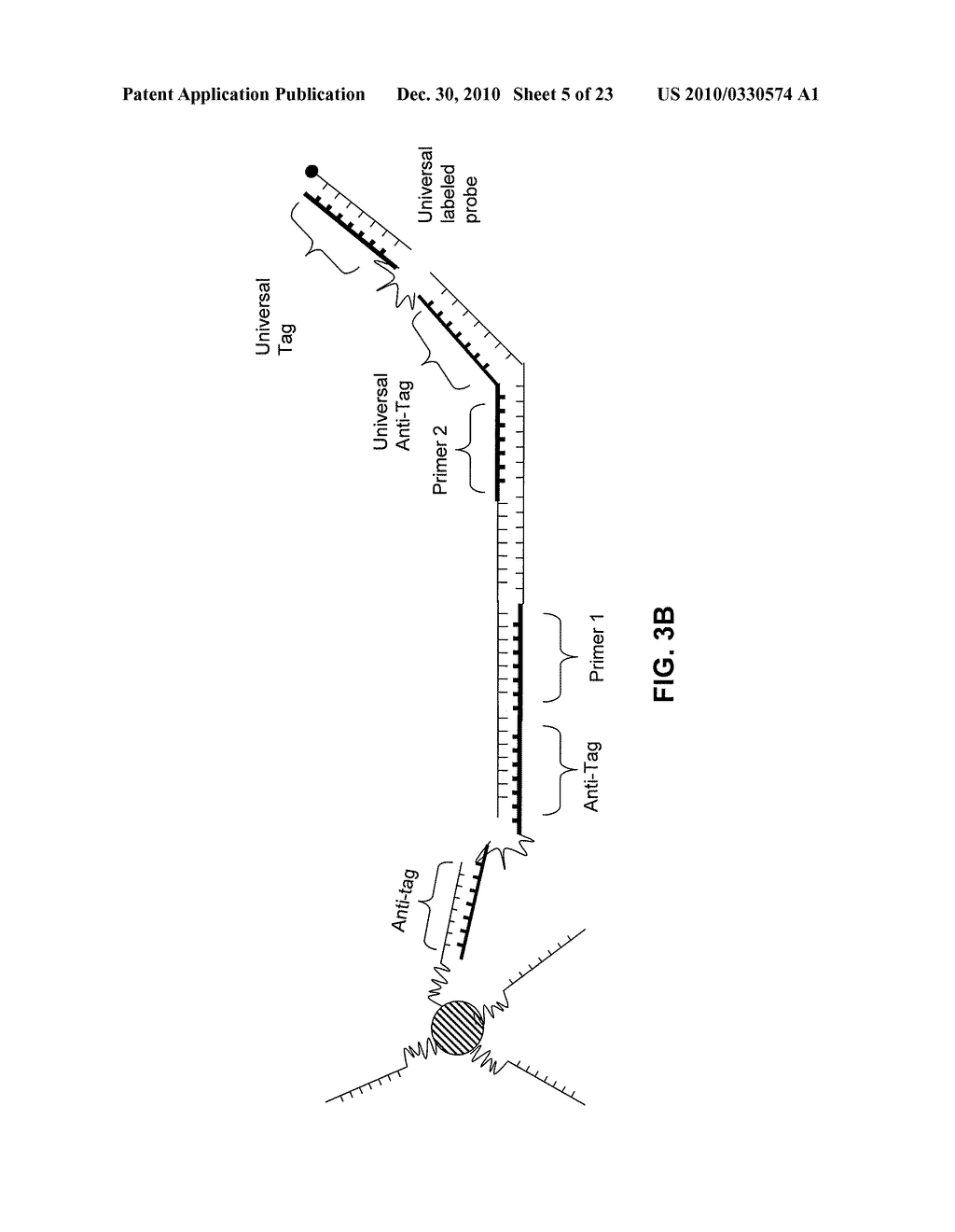 CHIMERIC PRIMERS WITH HAIRPIN CONFORMATIONS AND METHODS OF USING SAME - diagram, schematic, and image 06