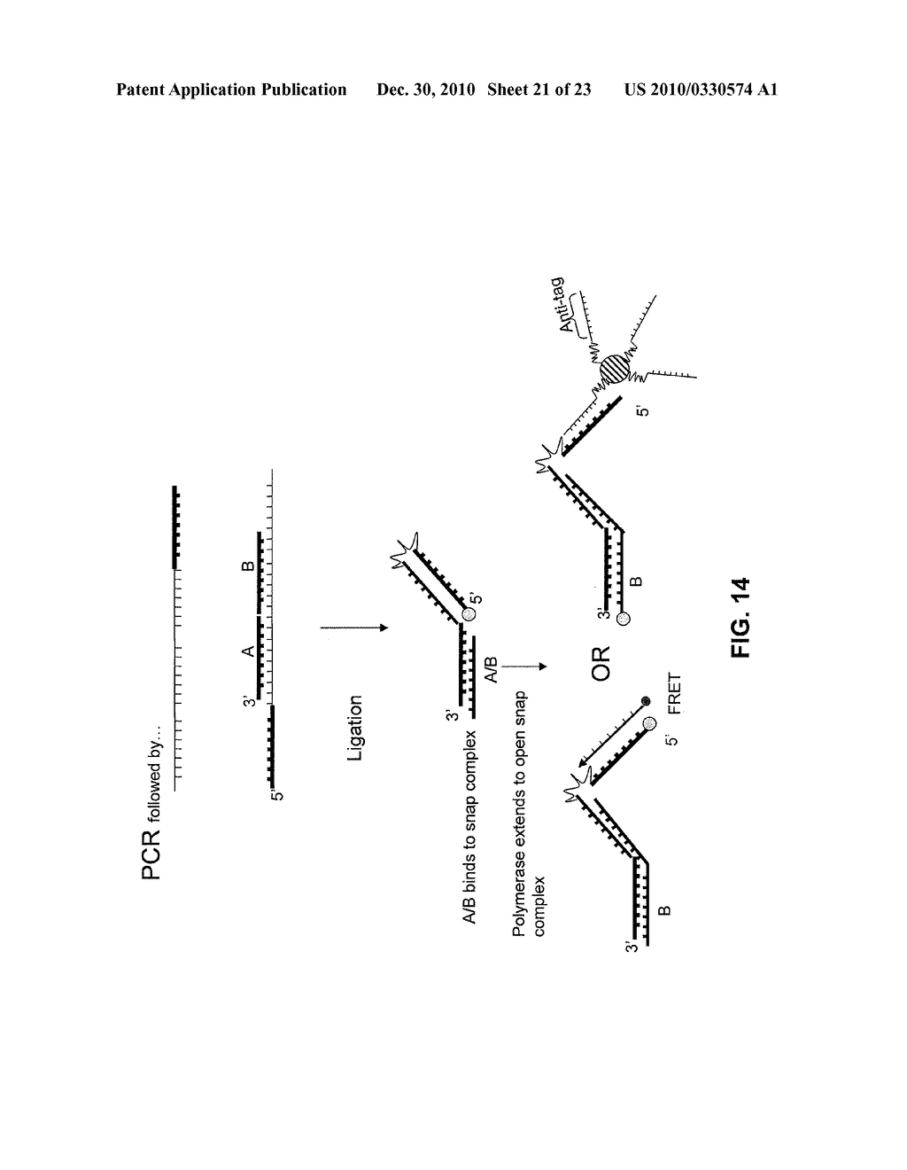 CHIMERIC PRIMERS WITH HAIRPIN CONFORMATIONS AND METHODS OF USING SAME - diagram, schematic, and image 22