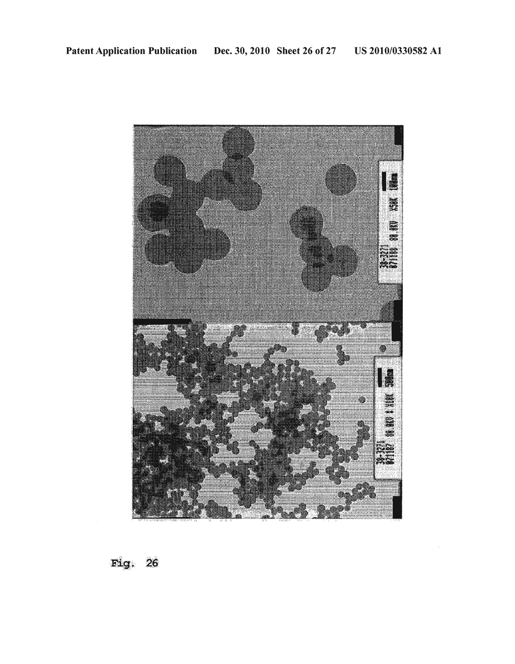 METHOD FOR PRODUCTION OF NOVEL NANO SILICA PARTICLE AND USE OF THE NANO SILICA PARTICLE - diagram, schematic, and image 27