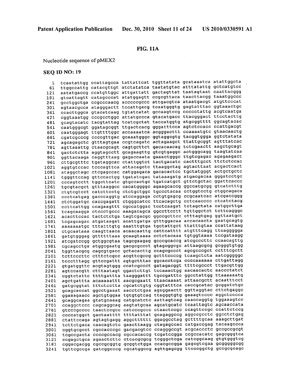 GPCR Expressing Cell Lines and Antibodies - diagram, schematic, and image 12