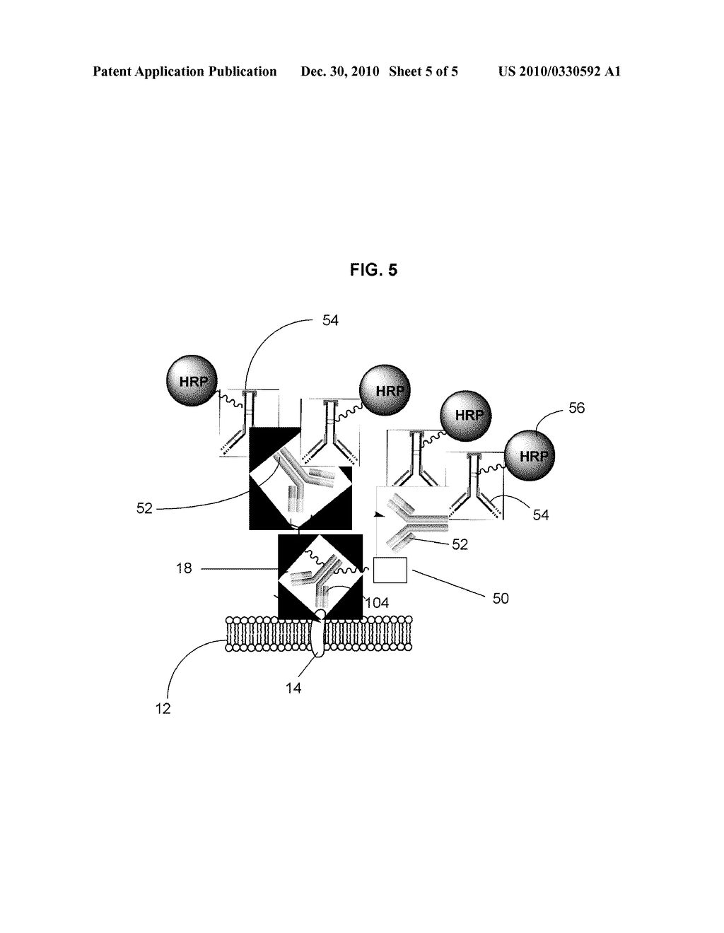 METHOD FOR DETECTING TRUNCATED MOLECULES - diagram, schematic, and image 06