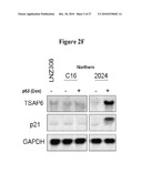 Use of Soluble Galectin-3 (Gal-3) for Cancer Treatment diagram and image