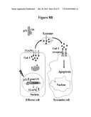 Use of Soluble Galectin-3 (Gal-3) for Cancer Treatment diagram and image