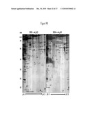 Use of Soluble Galectin-3 (Gal-3) for Cancer Treatment diagram and image