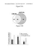 Use of Soluble Galectin-3 (Gal-3) for Cancer Treatment diagram and image