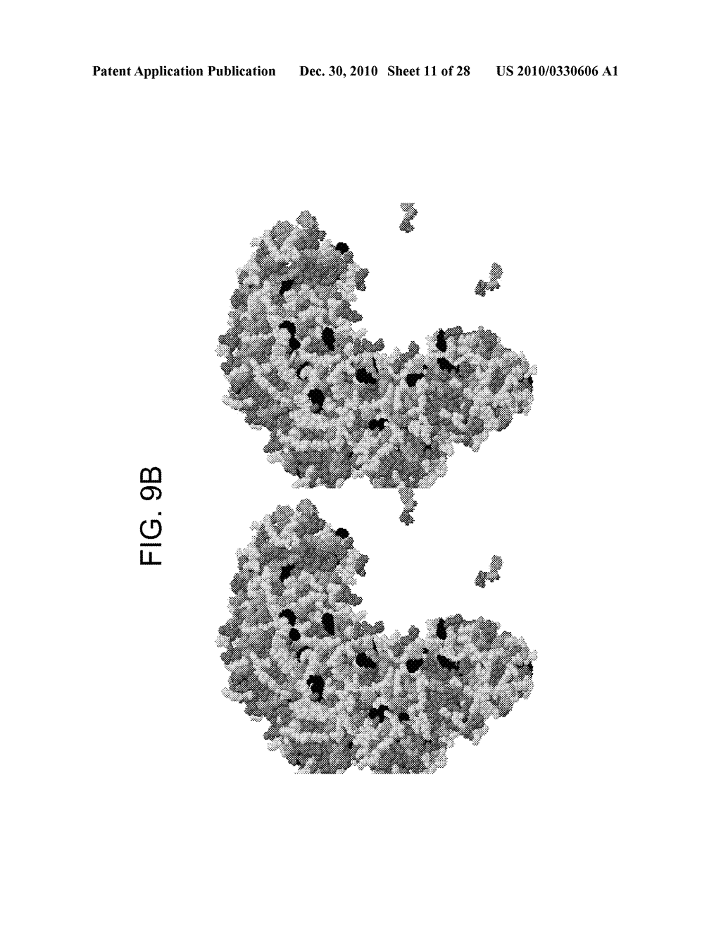 COMPOSITIONS AND METHODS FOR OPTIMIZING DRUG HYDROPHOBICITY AND DRUG DELIVERY TO CELLS - diagram, schematic, and image 12