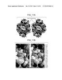 COMPOSITIONS AND METHODS FOR OPTIMIZING DRUG HYDROPHOBICITY AND DRUG DELIVERY TO CELLS diagram and image