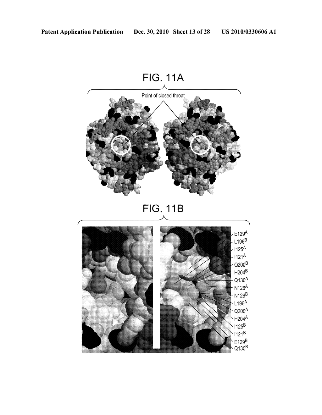 COMPOSITIONS AND METHODS FOR OPTIMIZING DRUG HYDROPHOBICITY AND DRUG DELIVERY TO CELLS - diagram, schematic, and image 14