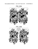 COMPOSITIONS AND METHODS FOR OPTIMIZING DRUG HYDROPHOBICITY AND DRUG DELIVERY TO CELLS diagram and image