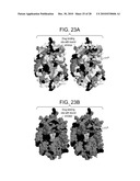 COMPOSITIONS AND METHODS FOR OPTIMIZING DRUG HYDROPHOBICITY AND DRUG DELIVERY TO CELLS diagram and image