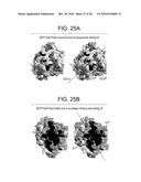 COMPOSITIONS AND METHODS FOR OPTIMIZING DRUG HYDROPHOBICITY AND DRUG DELIVERY TO CELLS diagram and image