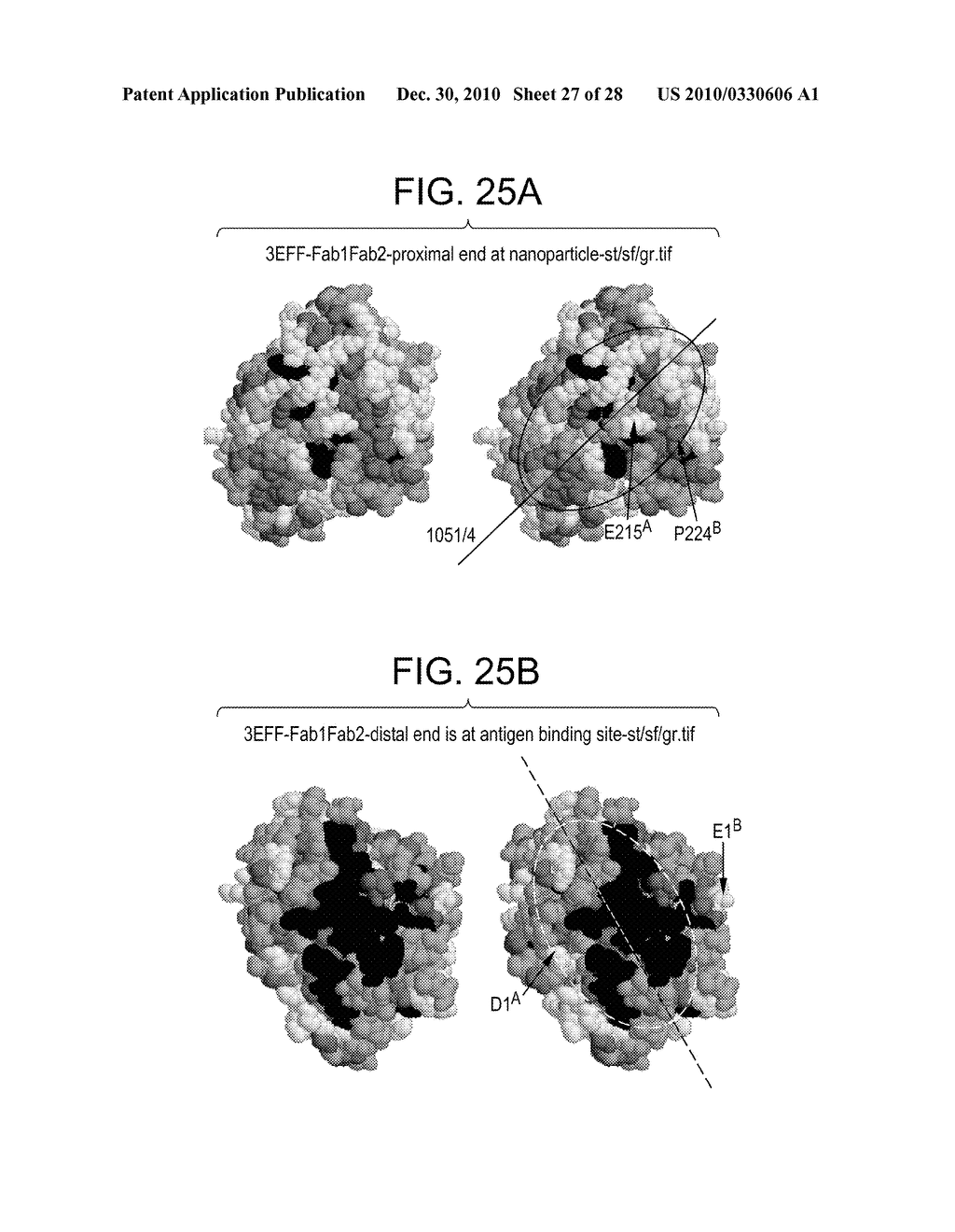 COMPOSITIONS AND METHODS FOR OPTIMIZING DRUG HYDROPHOBICITY AND DRUG DELIVERY TO CELLS - diagram, schematic, and image 28