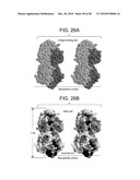 COMPOSITIONS AND METHODS FOR OPTIMIZING DRUG HYDROPHOBICITY AND DRUG DELIVERY TO CELLS diagram and image