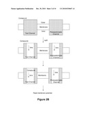 PHOTOSWITCH-ENABLED ION CHANNEL ASSAY SYSTEM diagram and image