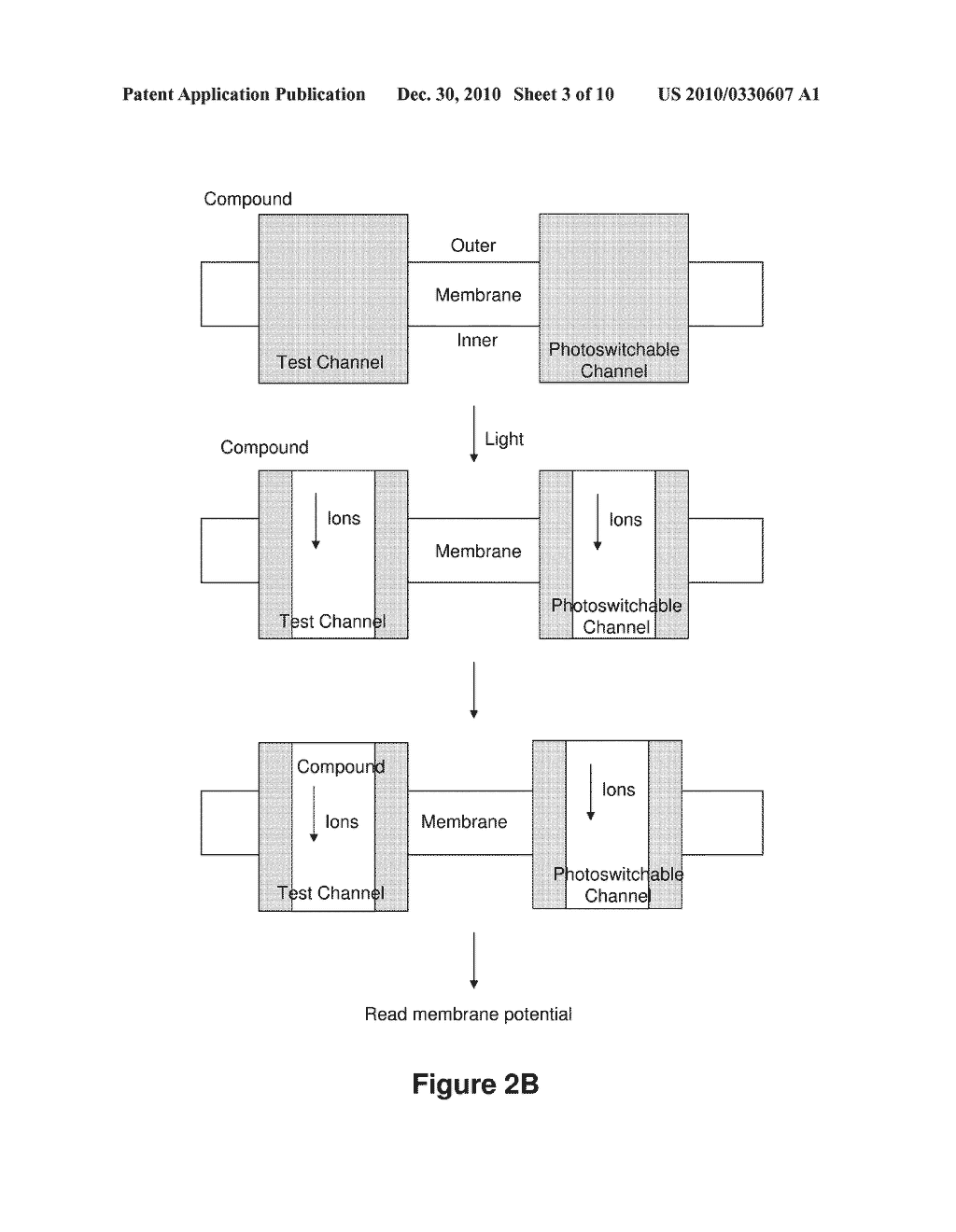 PHOTOSWITCH-ENABLED ION CHANNEL ASSAY SYSTEM - diagram, schematic, and image 04