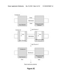 PHOTOSWITCH-ENABLED ION CHANNEL ASSAY SYSTEM diagram and image