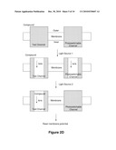 PHOTOSWITCH-ENABLED ION CHANNEL ASSAY SYSTEM diagram and image