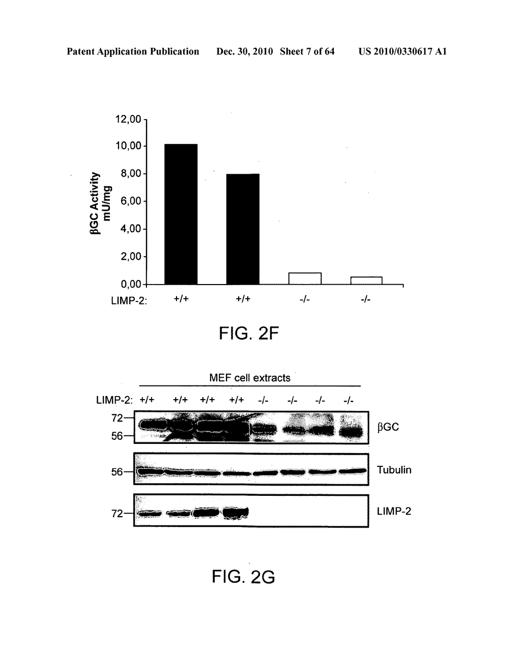 Methods of Producing a Secreted Protein - diagram, schematic, and image 08