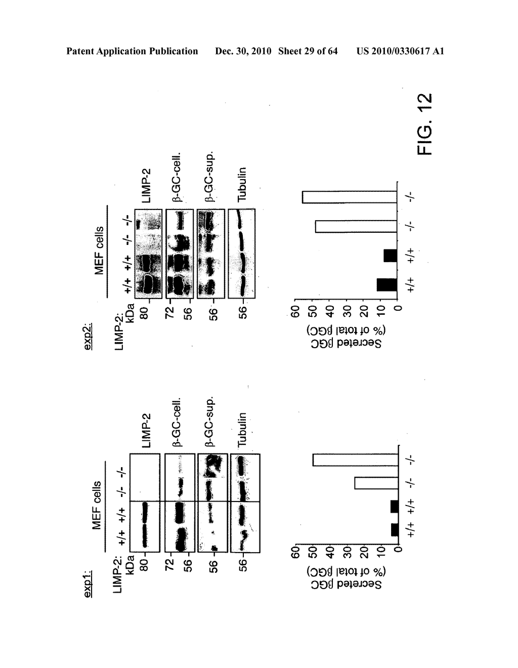 Methods of Producing a Secreted Protein - diagram, schematic, and image 30