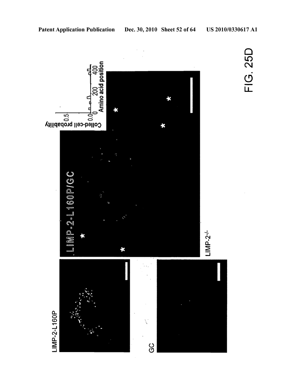 Methods of Producing a Secreted Protein - diagram, schematic, and image 53