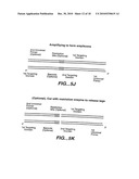 DIRECT MULTIPLEX CHARACTERIZATION OF GENOMIC DNA diagram and image