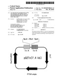 Vector for transformation using transposons, microorganisms transformed by the vector, and method for producing L-lysine using the same diagram and image